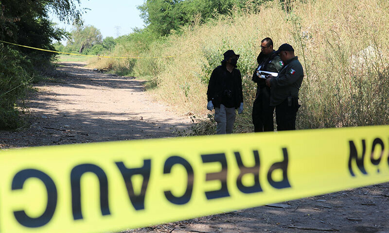 At least 192 killed in wave of violence between drug gangs in northwest Mexico