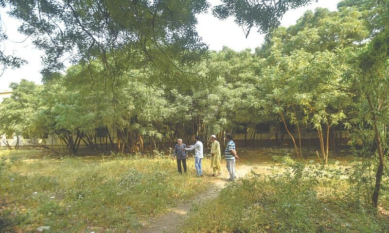 Teachers, students transform neglected Karachi college space into urban forest