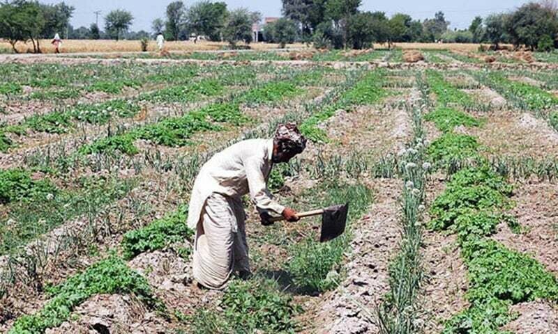 Benazir Kisan Card scheme launched in Balochistan