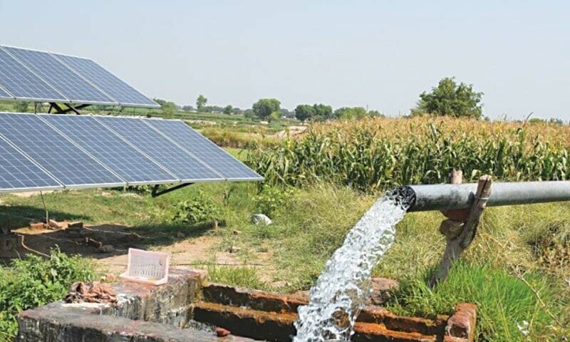 Solarisation plan — a silver lining for Punjab’s farmers?