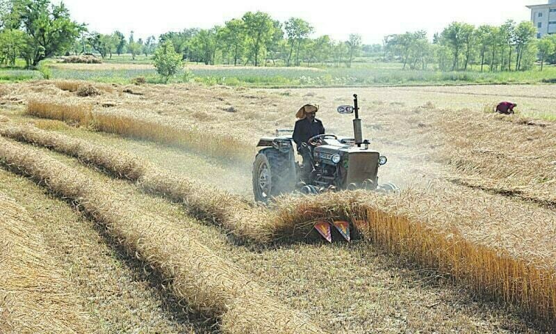 Cabinet body defers plan to allot 14,008 acres of state land for corporate farming in Sindh