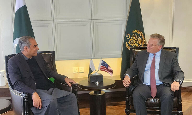 Interior Minister Naqvi vows to strengthen Pak-US ties in farewell meeting with Ambassador Blome