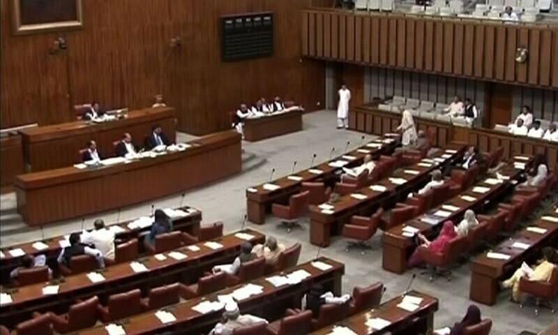 Senate panel divided over proposal to create south Punjab province