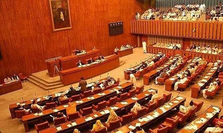 Senate panel mulls bar on civil servants’ dual nationality