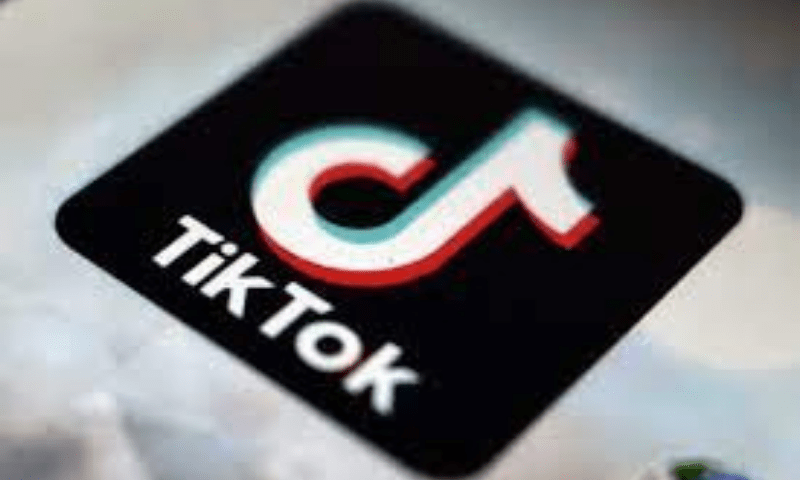 TikTok warns of broader consequences if US Supreme Court allows ban