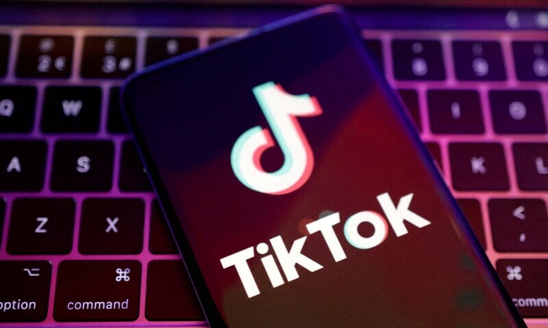 TikTok calls report of possible sale to Musk’s X ‘pure fiction’